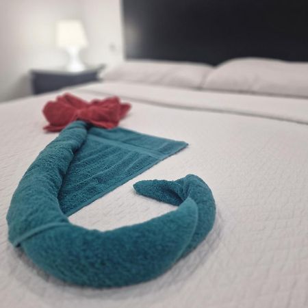 Barcelona,Apartamento Con Terraza Apartment L'Hospitalet de Llobregat Bagian luar foto