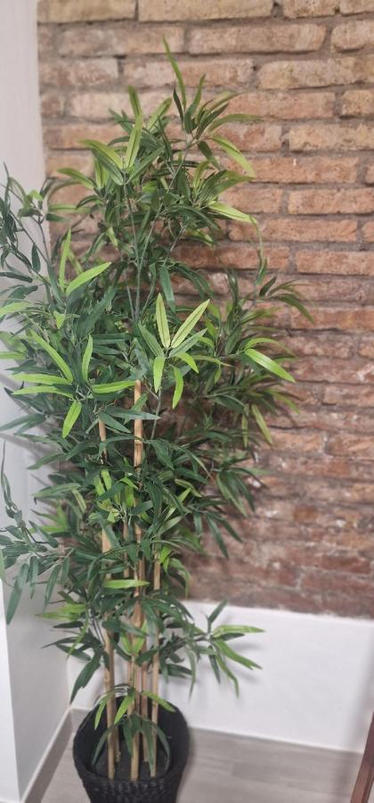 Barcelona,Apartamento Con Terraza Apartment L'Hospitalet de Llobregat Bagian luar foto
